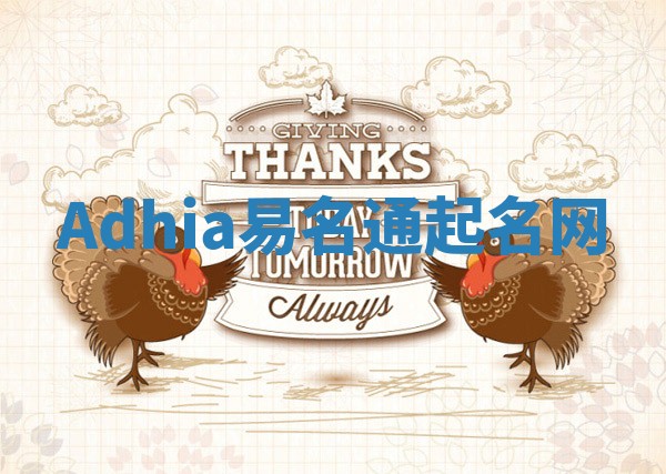 Adhia易名通起名网
