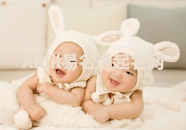 Aklil易名通起名网