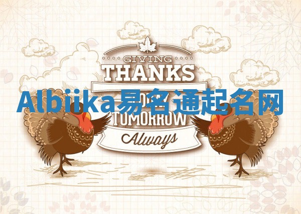 Albiika易名通起名网