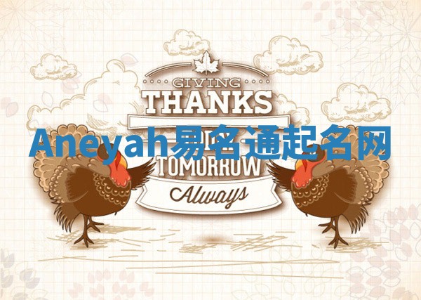 Aneyah易名通起名网