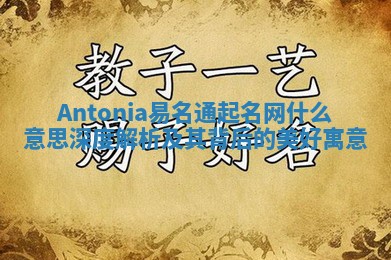 Antonia易名通起名网什么意思 深度解析及其背后的美好寓意