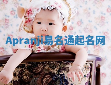 Apranji易名通起名网 Apranji易名通起名网