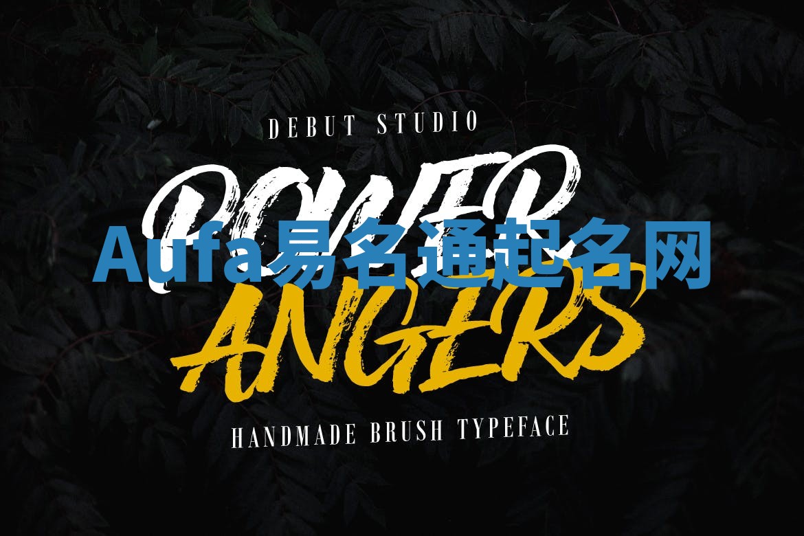 Aufa易名通起名网 Aufa易名通起名网