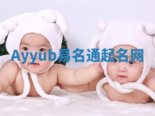 Ayyub易名通起名网