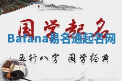 Bafana易名通起名网