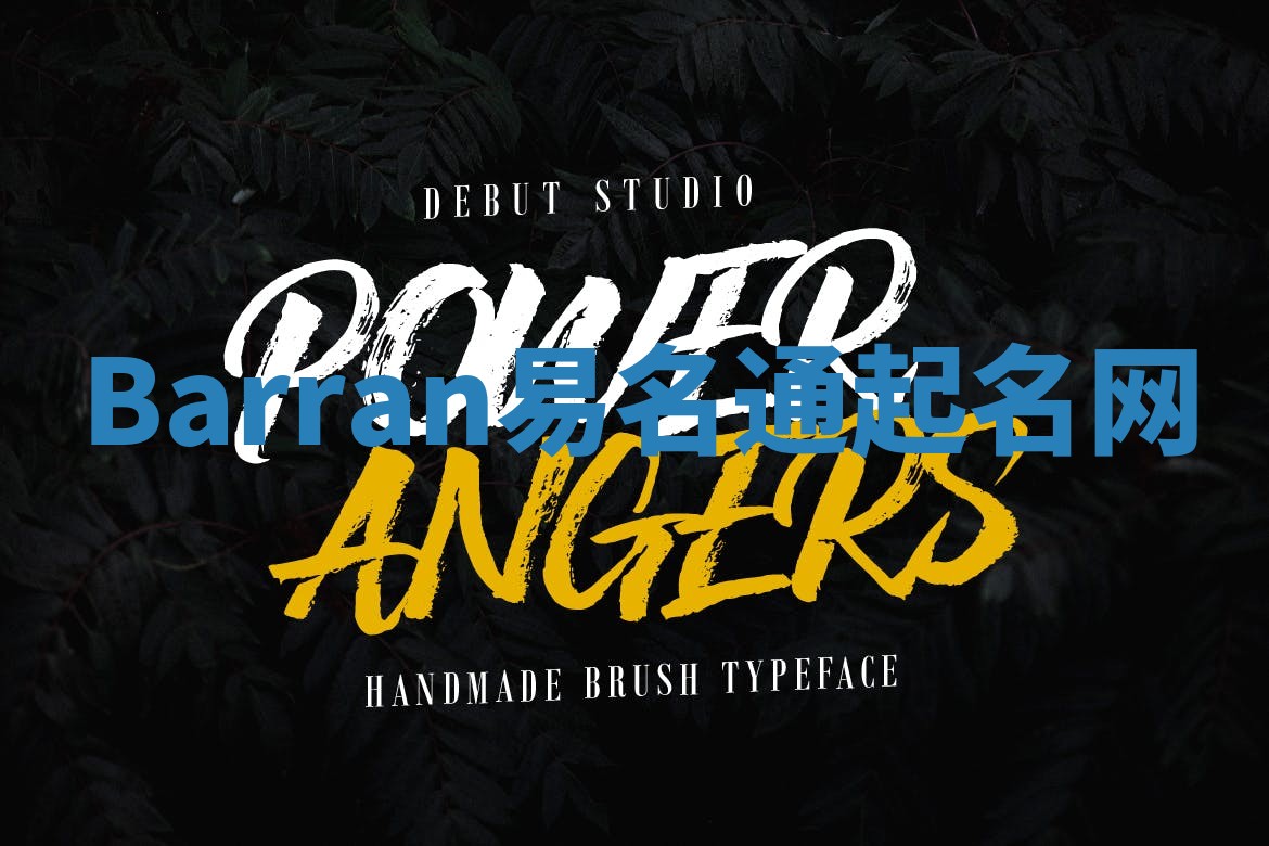 Barran易名通起名网