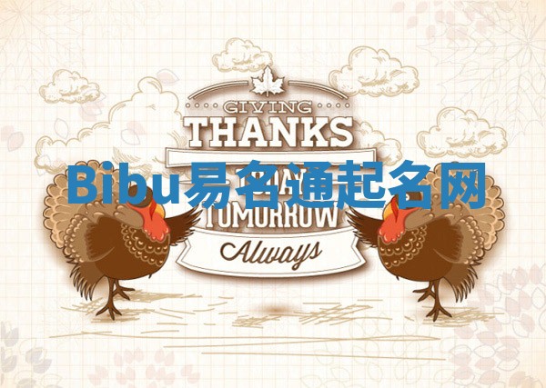 Bibu易名通起名网