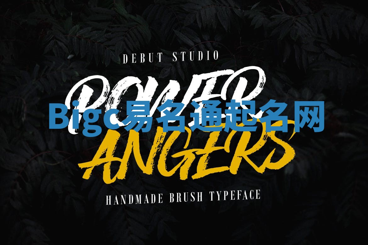 Bigc易名通起名网