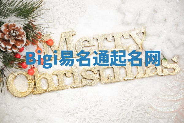 Bigi易名通起名网