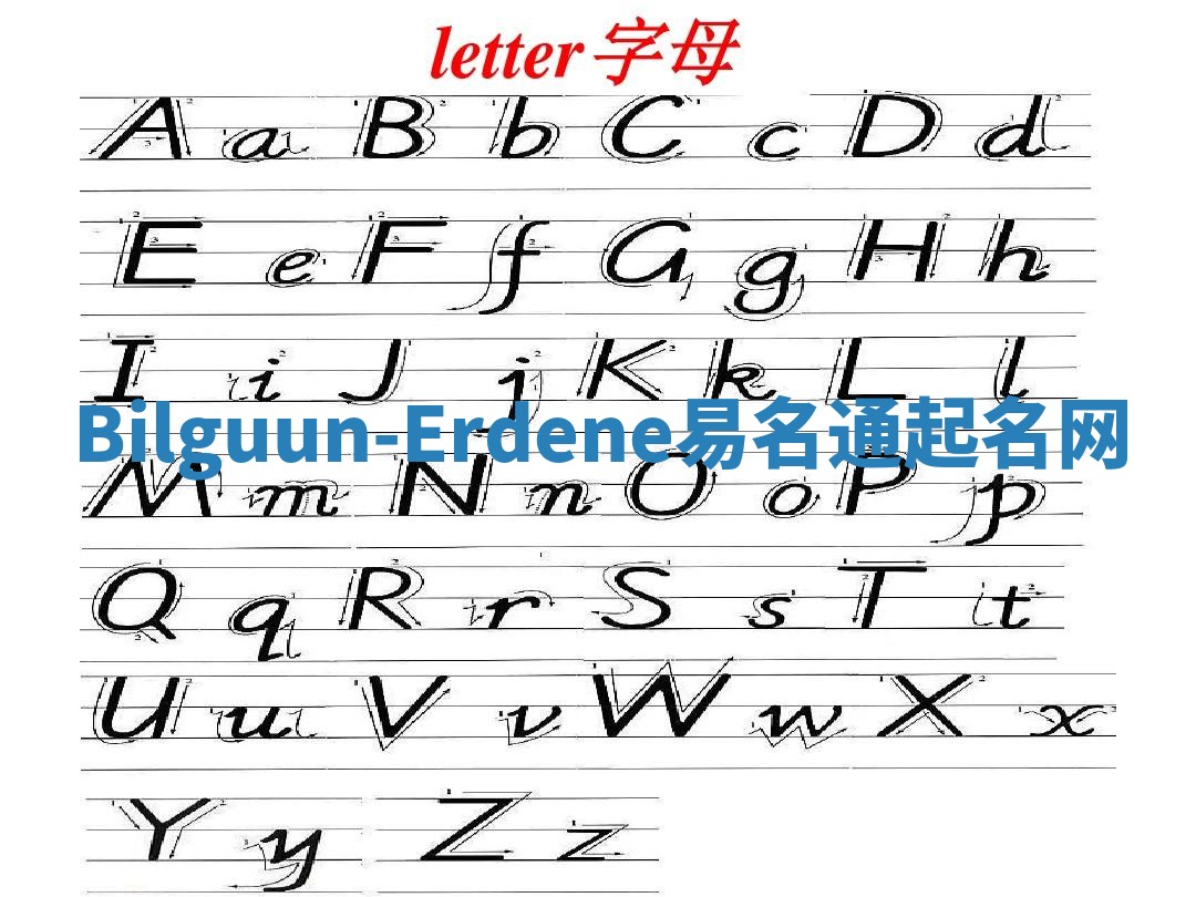 Bilguun-Erdene易名通起名网