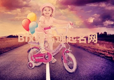 Bix易名通起名网