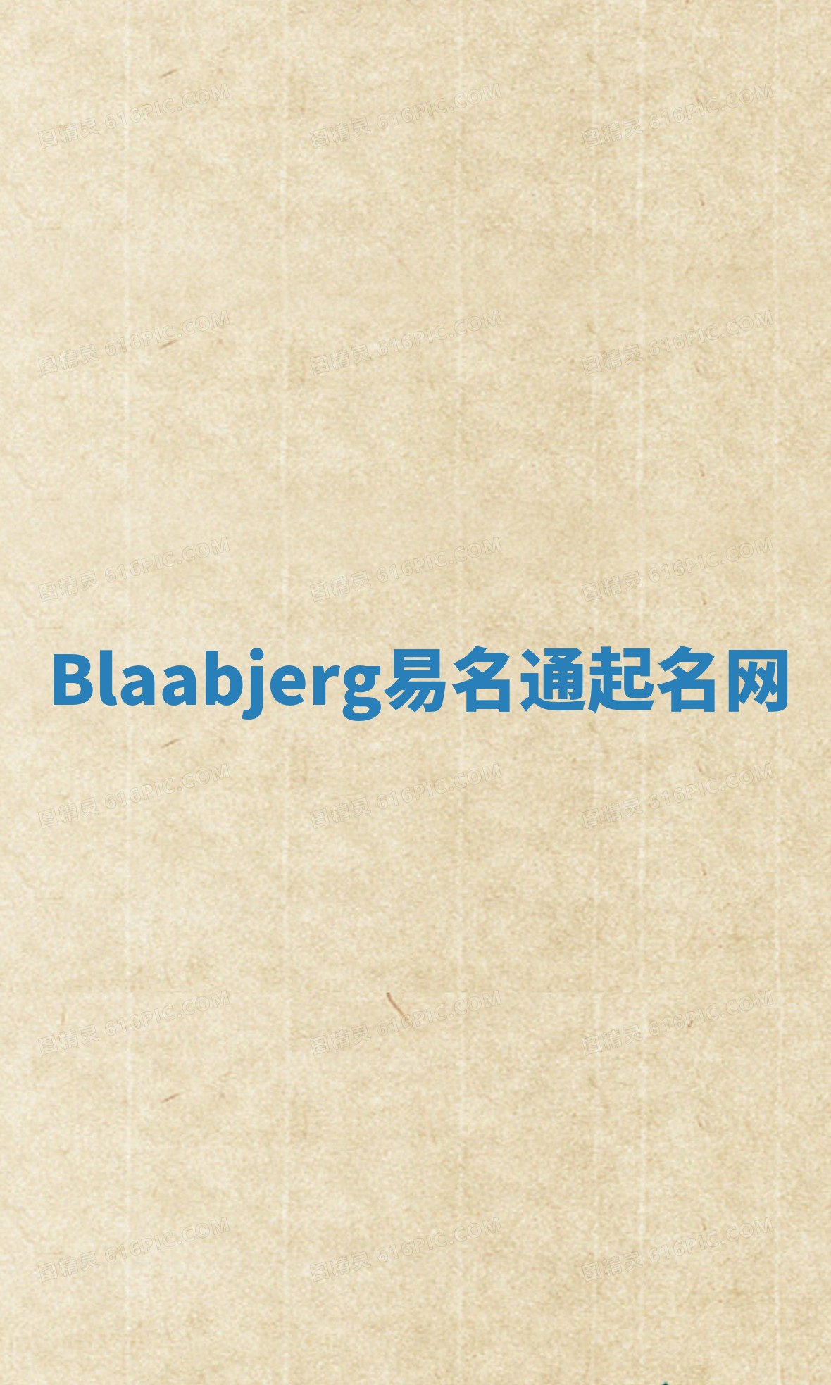 Blaabjerg易名通起名网
