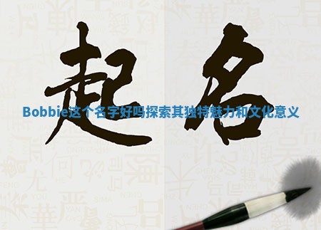 Bobbie这个名字好吗探索其独特魅力和文化意义 Bobbie这个名字好吗探索其独特魅力和文化意义