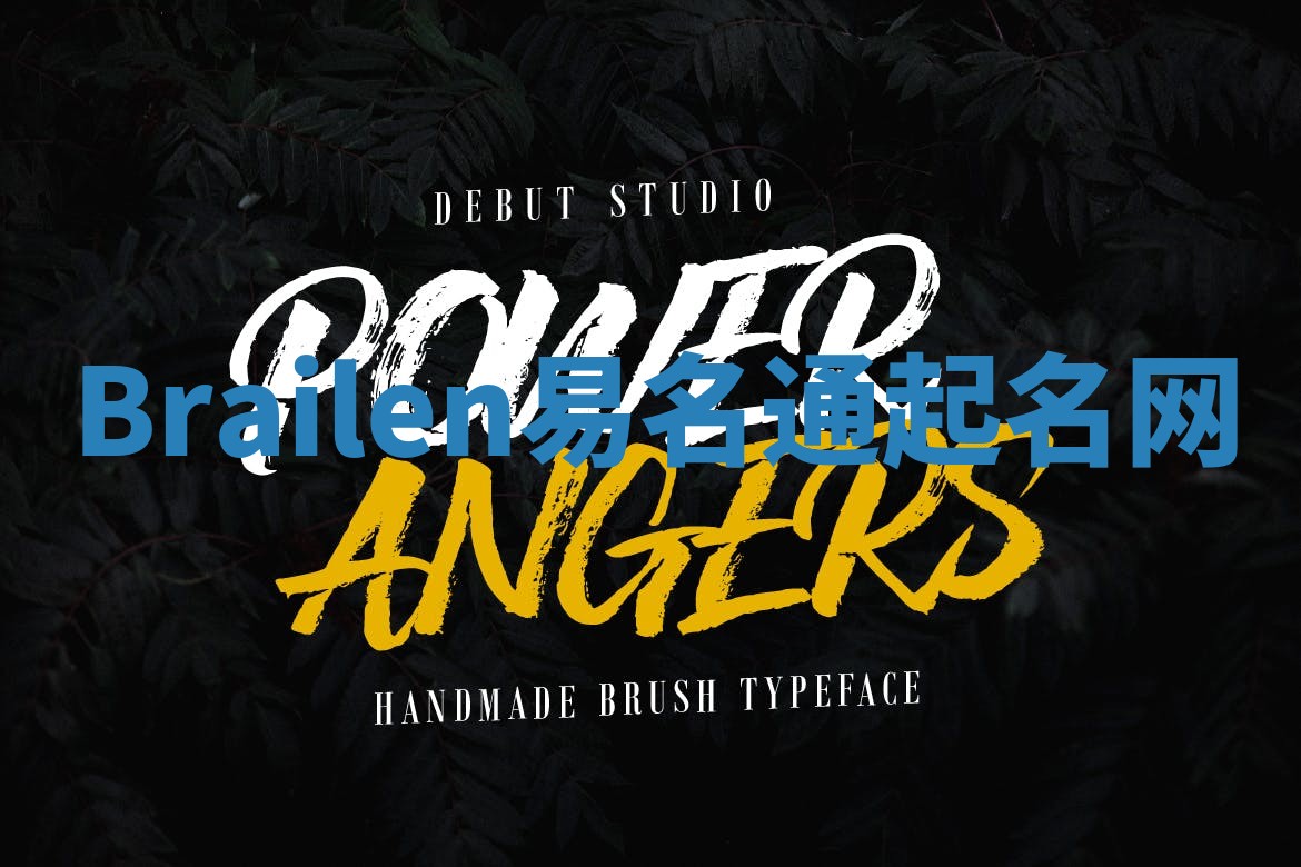 Brailen易名通起名网 Brailen易名通起名网