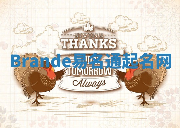 Brande易名通起名网