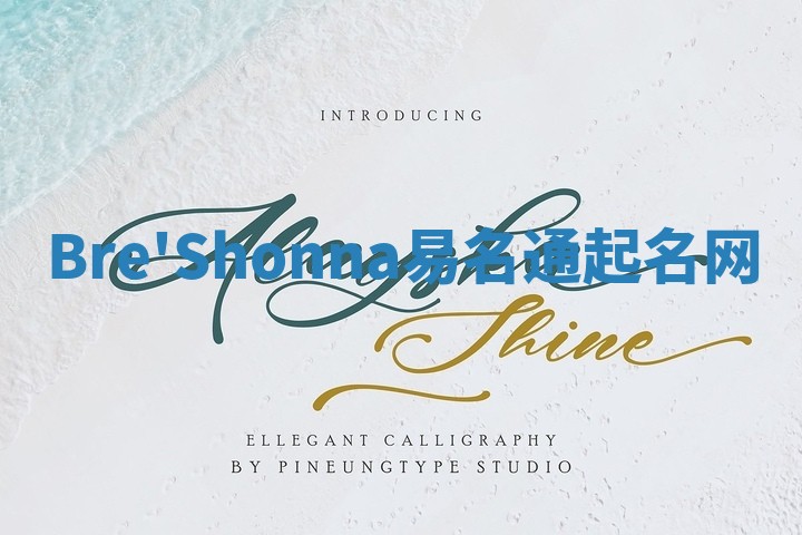 Bre'Shonna易名通起名网