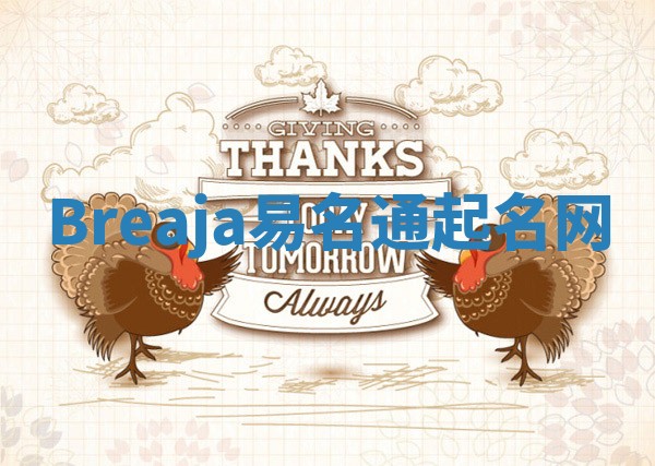 Breaja易名通起名网