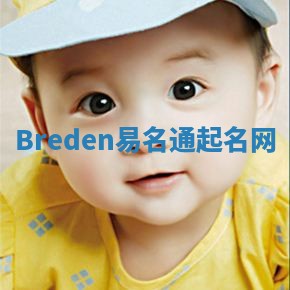 Breden易名通起名网