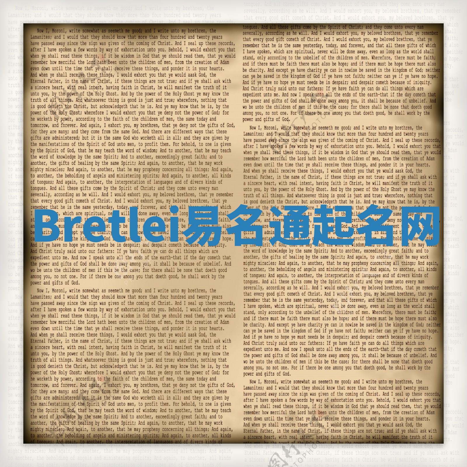 Bretlei易名通起名网