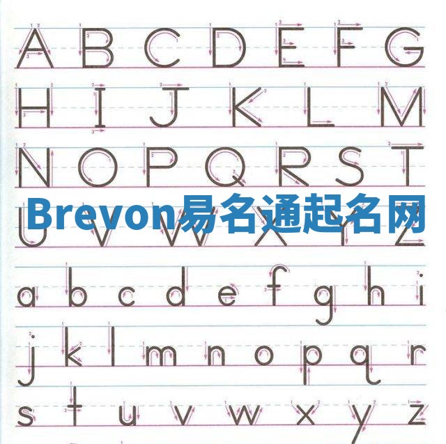 Brevon易名通起名网