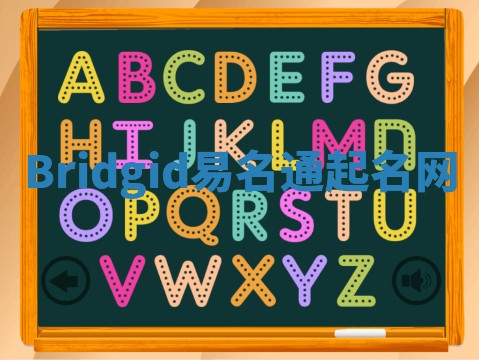 Bridgid易名通起名网