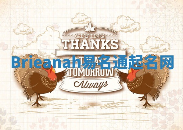 Brieanah易名通起名网 Brieanah易名通起名网