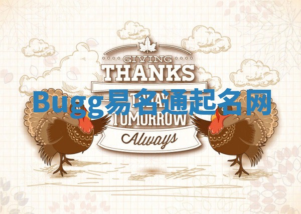 Bugg易名通起名网 Bugg易名通起名网