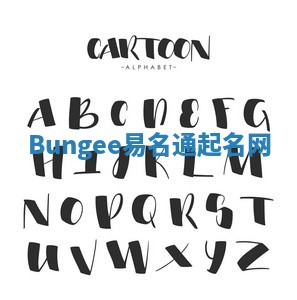 Bungee易名通起名网 Bungee易名通起名网