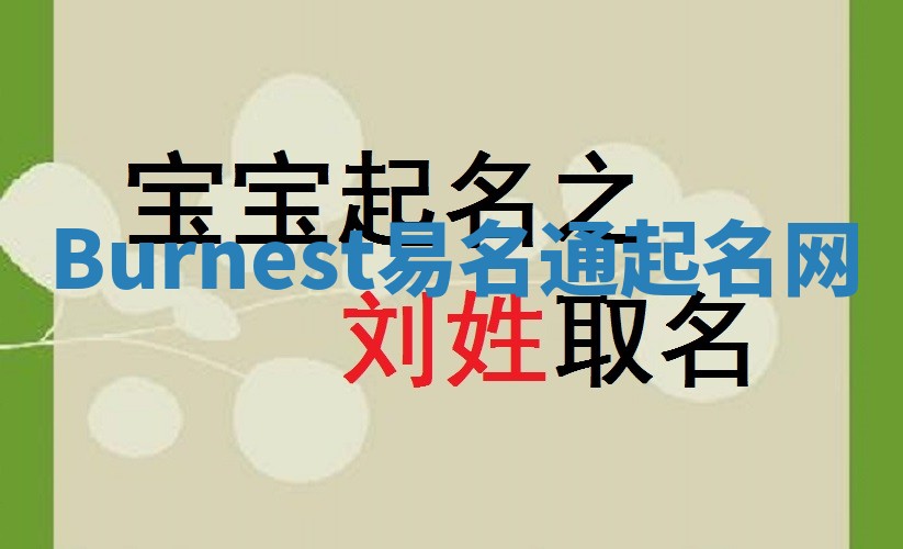 Burnest易名通起名网
