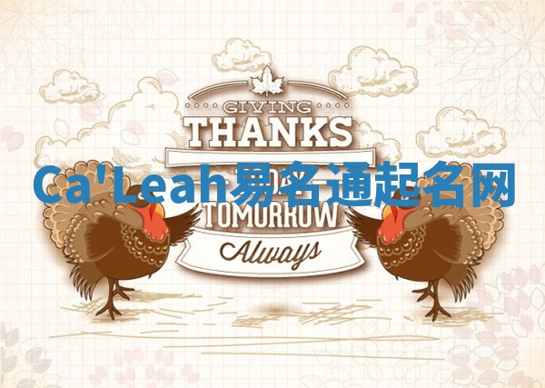 Ca'Leah易名通起名网 Ca'Leah易名通起名网