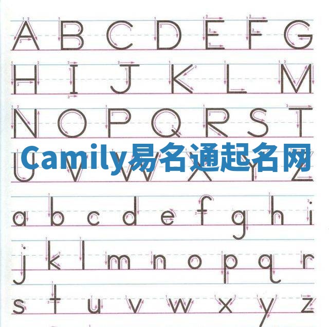 Camily易名通起名网