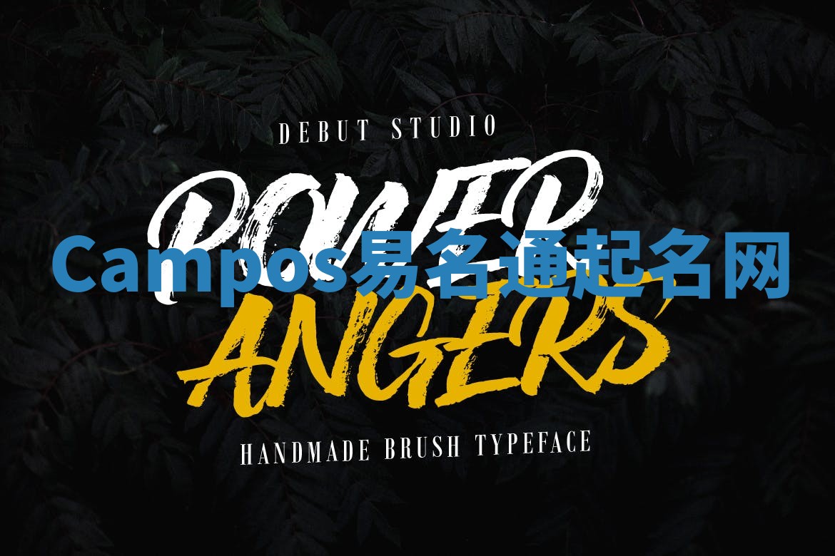 Campos易名通起名网