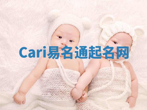 Cari易名通起名网 Cari易名通起名网