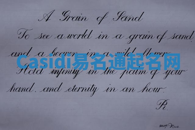 Casidi易名通起名网