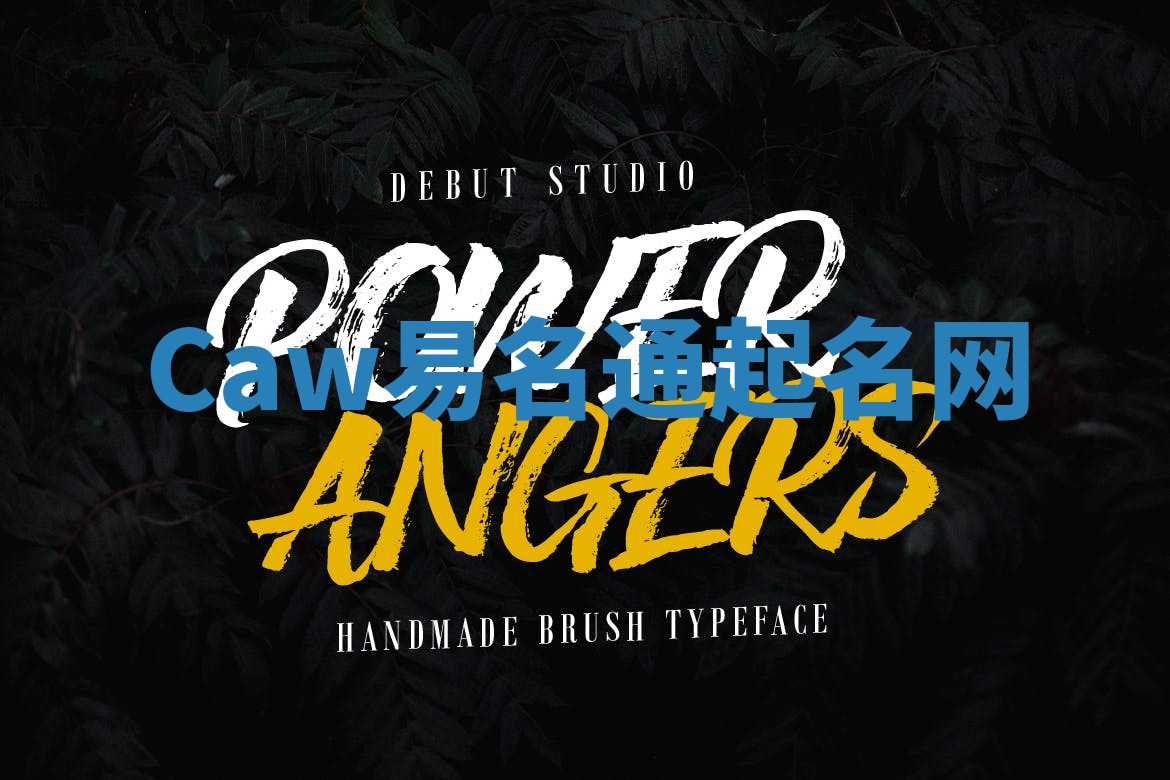 Caw易名通起名网