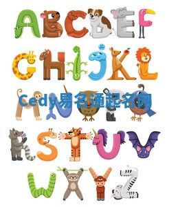 Cedy易名通起名网