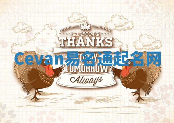 Cevan易名通起名网 Cevan易名通起名网