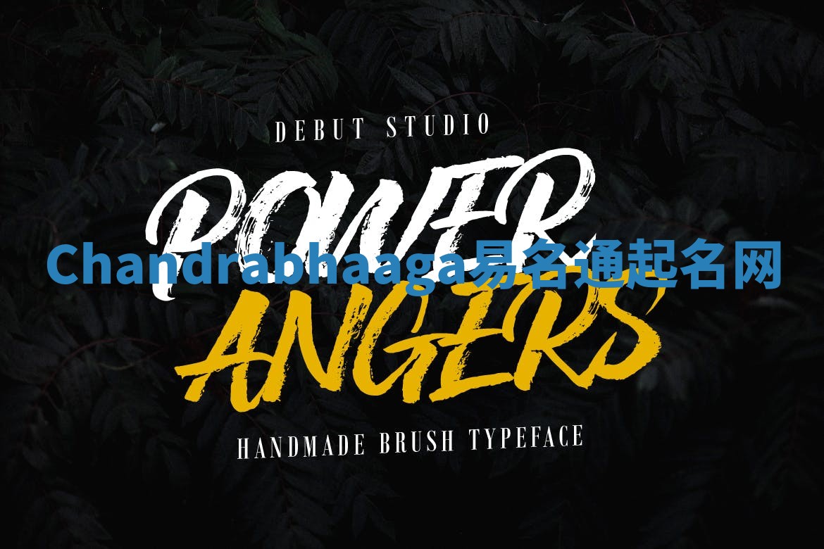 Chandrabhaaga易名通起名网 Chandrabhaaga易名通起名网