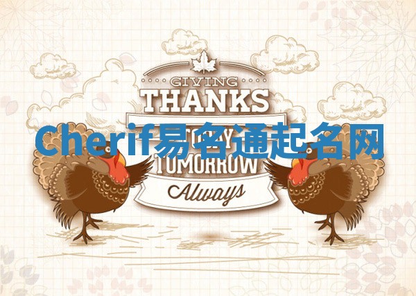 Cherif易名通起名网