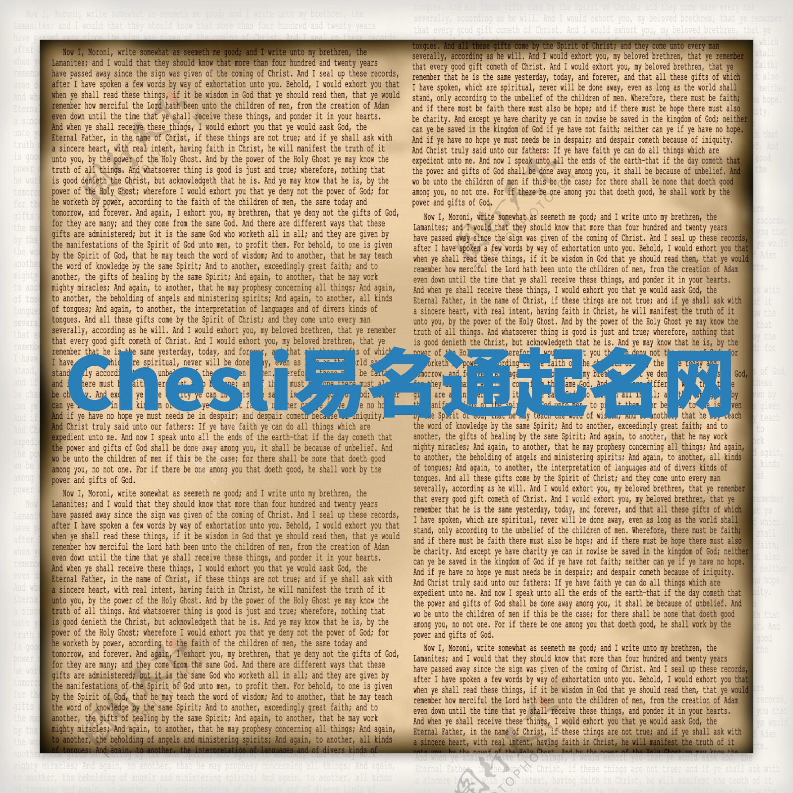 Chesli易名通起名网