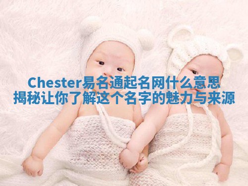 Chester易名通起名网什么意思揭秘让你了解这个名字的魅力与来源