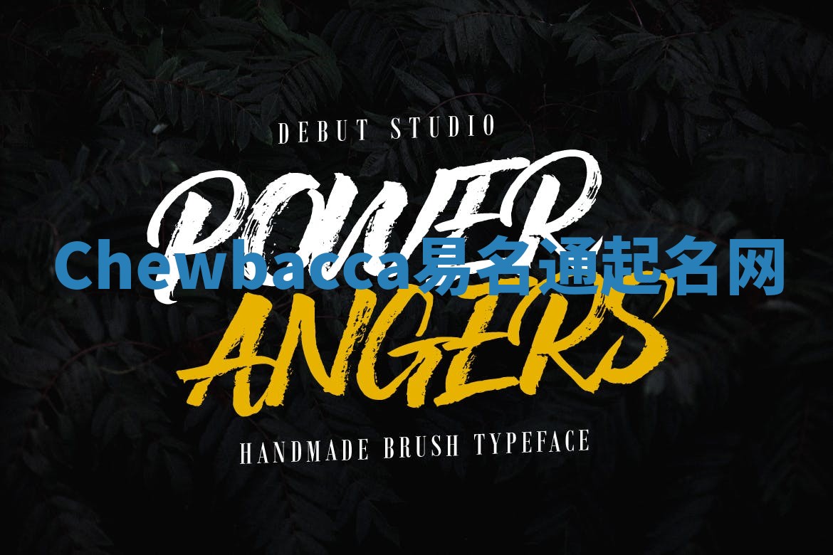 Chewbacca易名通起名网