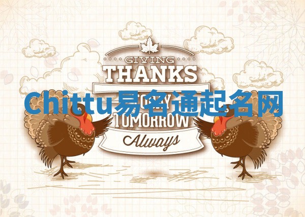 Chittu易名通起名网
