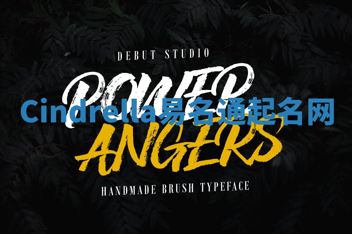 Cindrella易名通起名网