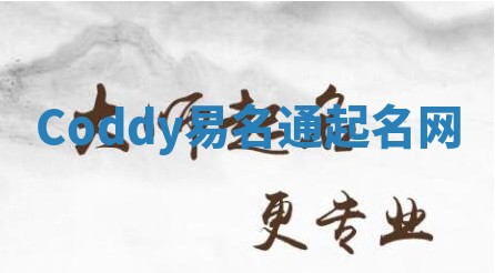 Coddy易名通起名网