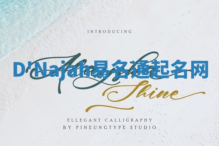 D'Najah易名通起名网