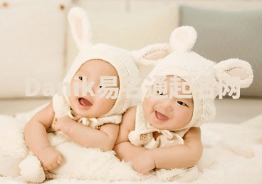 Danik易名通起名网