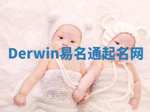 Derwin易名通起名网