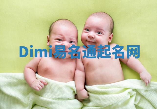 Dimi易名通起名网
