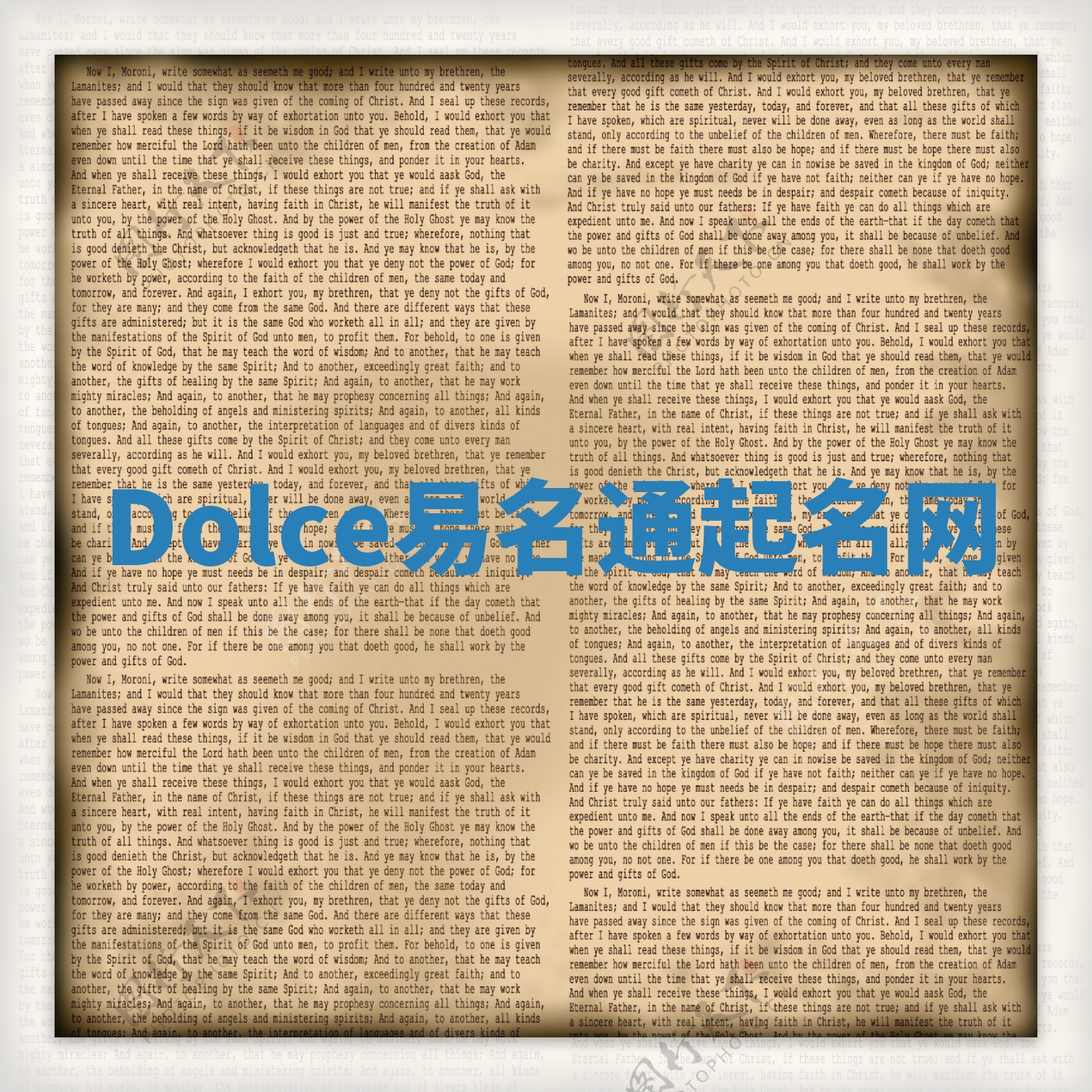 Dolce易名通起名网